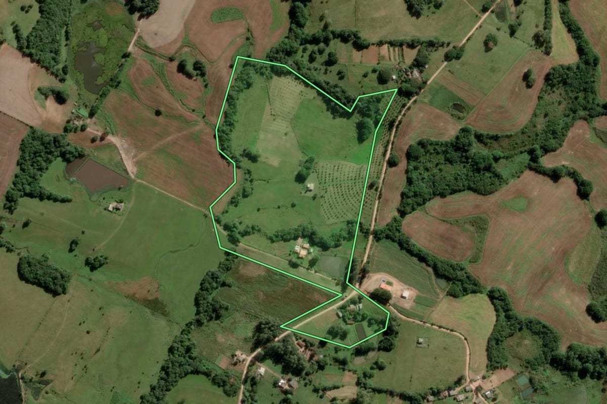 Imagem de satélite do imóvel rural em São Lourenço do Sul (RS), com o contorno declarado no CAR desenhado por cima.