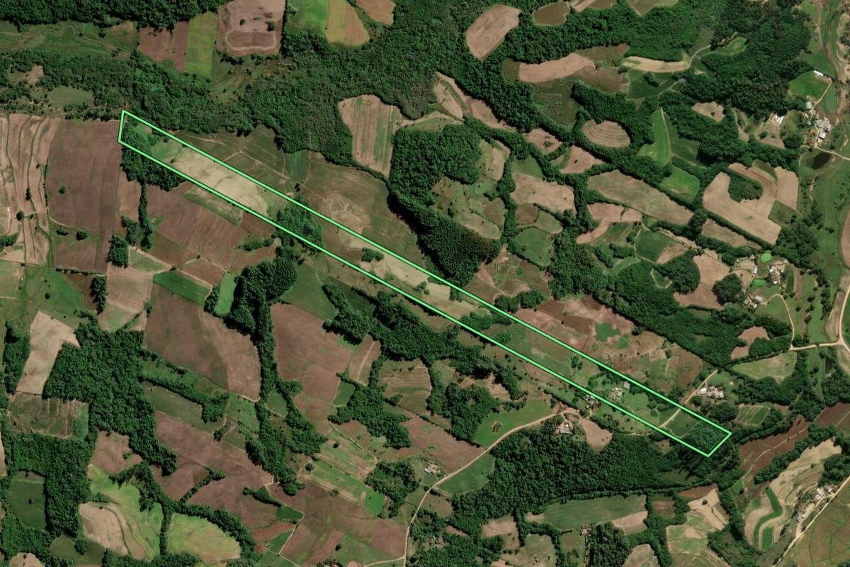 Imagem de satélite do imóvel rural em São Lourenço do Sul (RS), com o contorno declarado no CAR desenhado por cima.