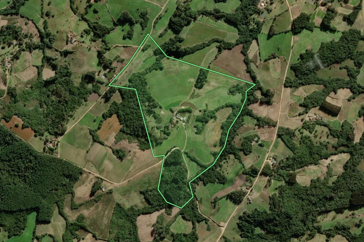 Imagem de satélite do imóvel rural em São Lourenço do Sul (RS), com o contorno declarado no CAR desenhado por cima.