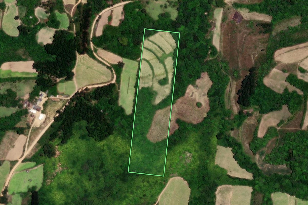 Imagem de satélite do imóvel rural em São Lourenço do Sul (RS), com o contorno declarado no CAR desenhado por cima.