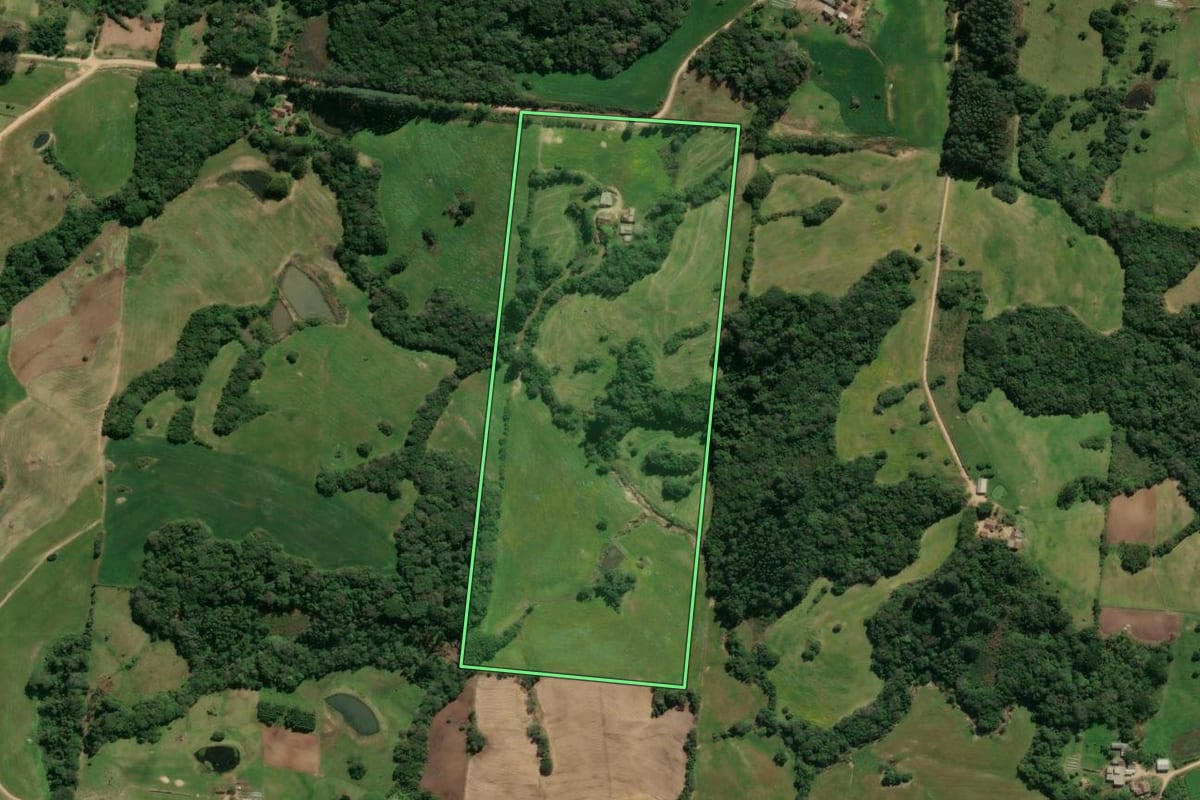 Imagem de satélite do imóvel rural em São Lourenço do Sul (RS), com o contorno declarado no CAR desenhado por cima.