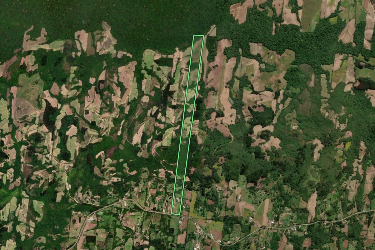 Imagem de satélite do imóvel rural em São Lourenço do Sul (RS), com o contorno declarado no CAR desenhado por cima.