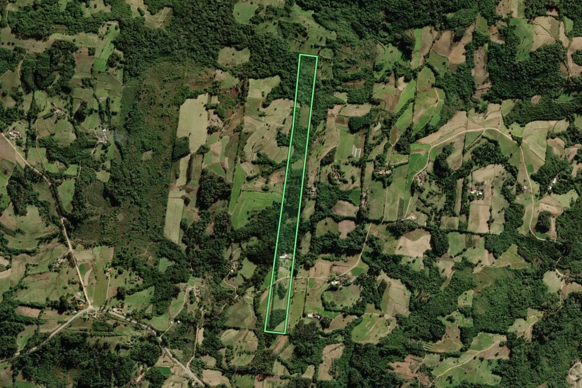 Imagem de satélite do imóvel rural em São Lourenço do Sul (RS), com o contorno declarado no CAR desenhado por cima.