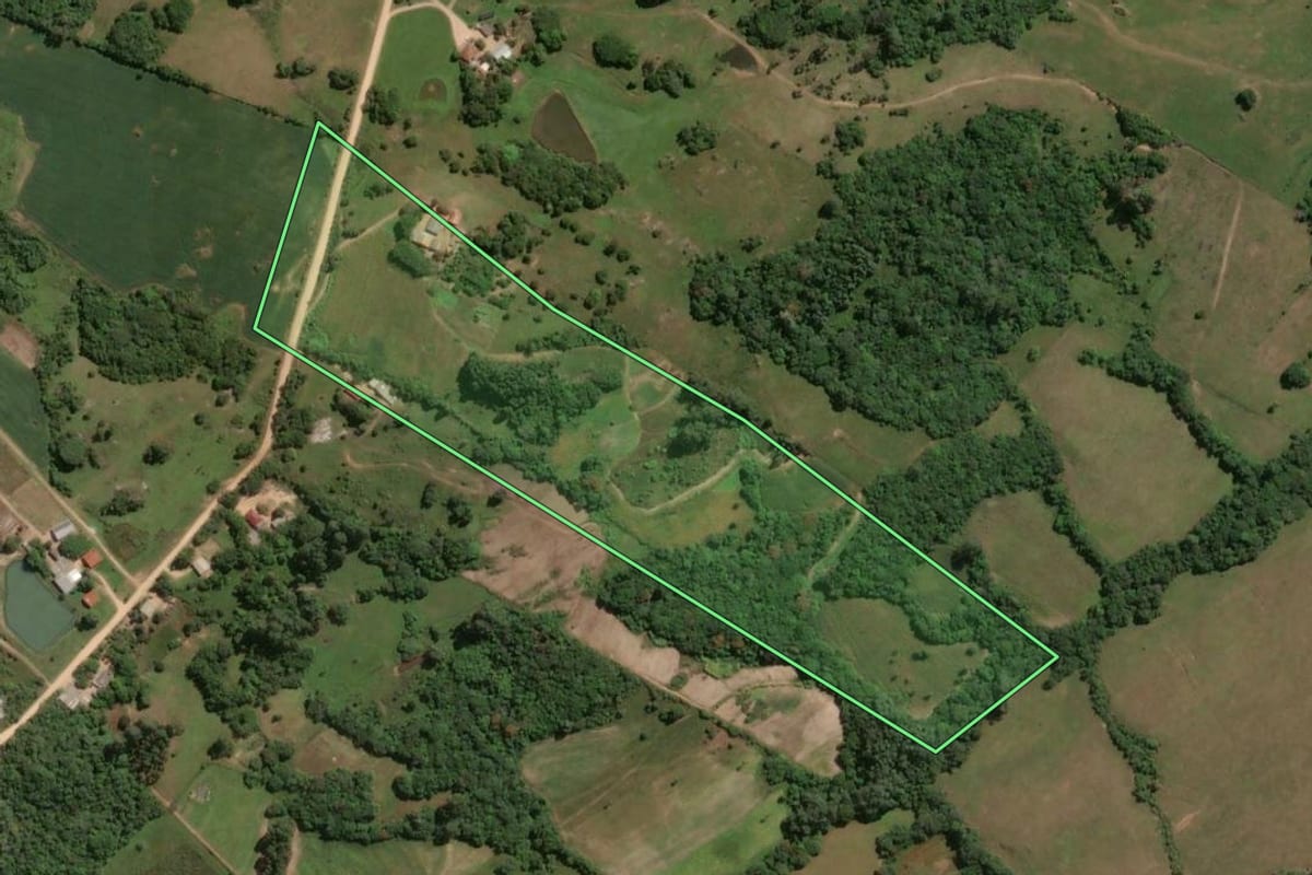 Imagem de satélite do imóvel rural em São Lourenço do Sul (RS), com o contorno declarado no CAR desenhado por cima.