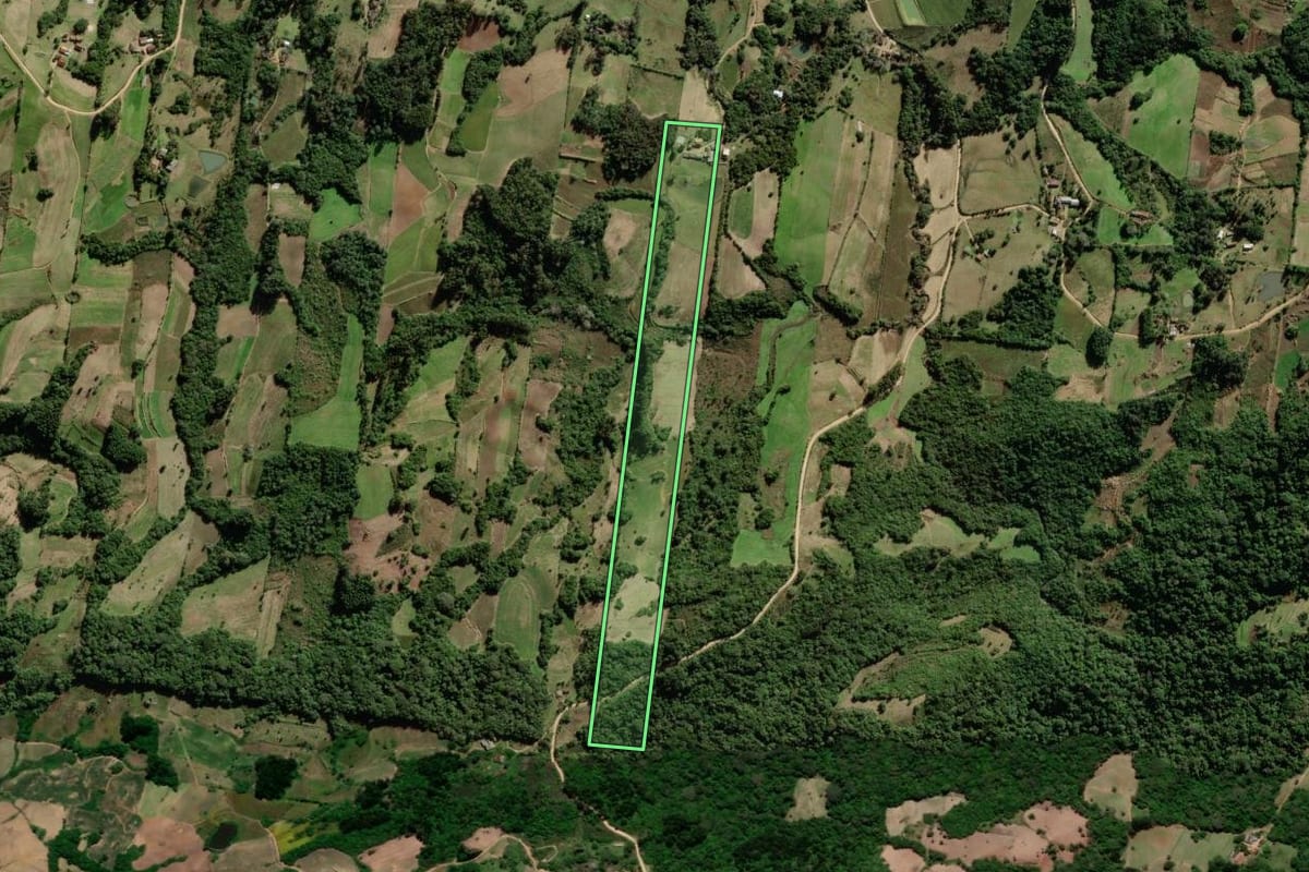 Imagem de satélite do imóvel rural em São Lourenço do Sul (RS), com o contorno declarado no CAR desenhado por cima.
