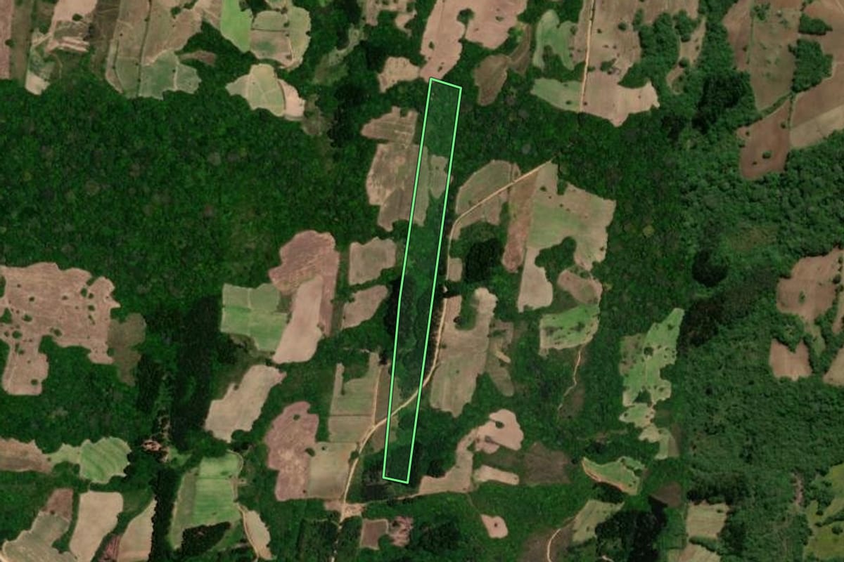 Imagem de satélite do imóvel rural em São Lourenço do Sul (RS), com o contorno declarado no CAR desenhado por cima.