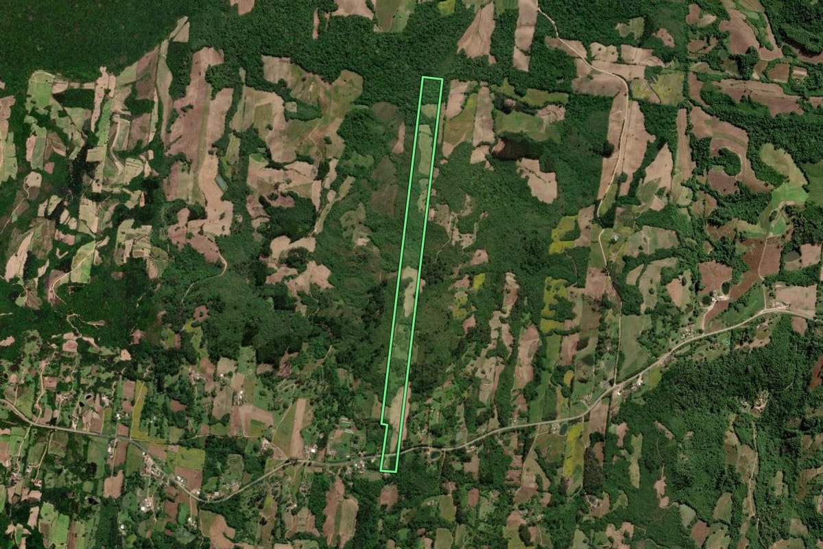 Imagem de satélite do imóvel rural em São Lourenço do Sul (RS), com o contorno declarado no CAR desenhado por cima.