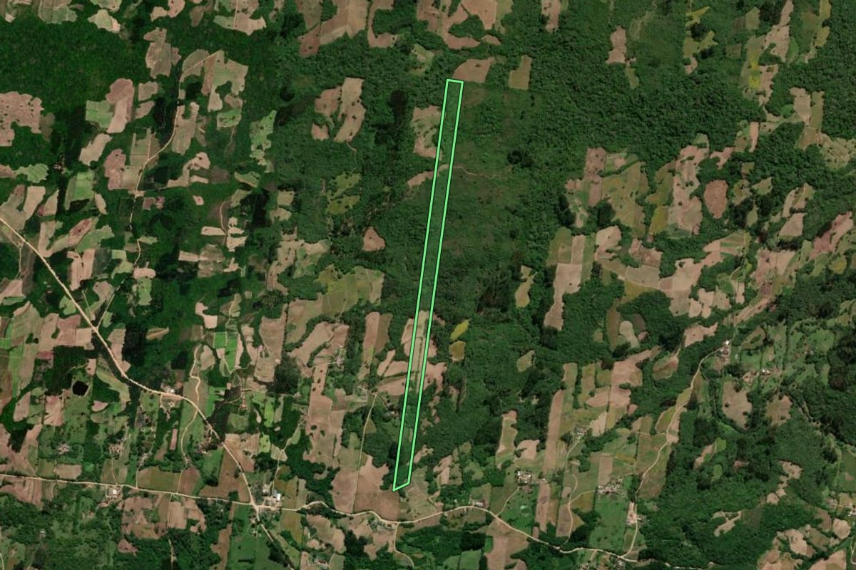 Imagem de satélite do imóvel rural em São Lourenço do Sul (RS), com o contorno declarado no CAR desenhado por cima.