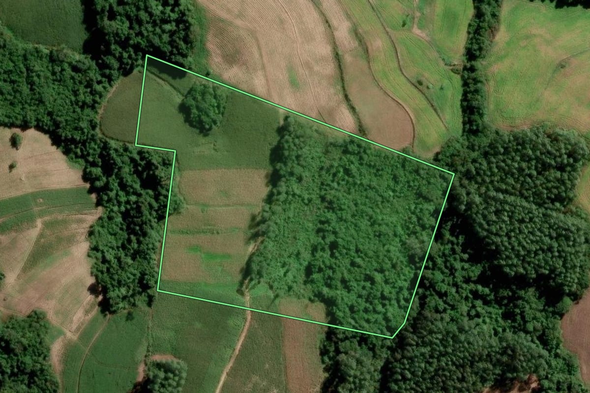 Imagem de satélite do imóvel rural em São Lourenço do Sul (RS), com o contorno declarado no CAR desenhado por cima.