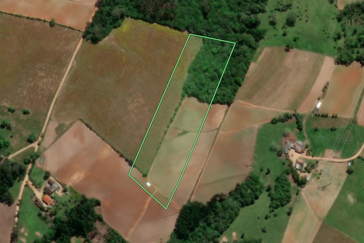 Imagem de satélite do imóvel rural em São Lourenço do Sul (RS), com o contorno declarado no CAR desenhado por cima.