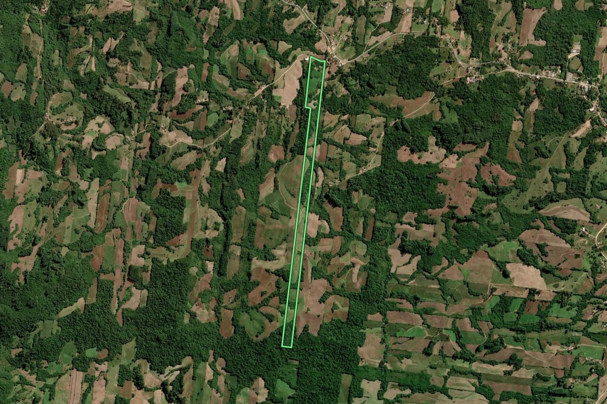 Imagem de satélite do imóvel rural em São Lourenço do Sul (RS), com o contorno declarado no CAR desenhado por cima.