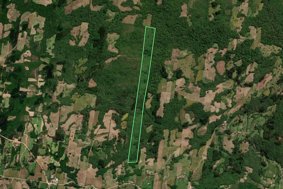 Imagem de satélite do imóvel rural em São Lourenço do Sul (RS), com o contorno declarado no CAR desenhado por cima.