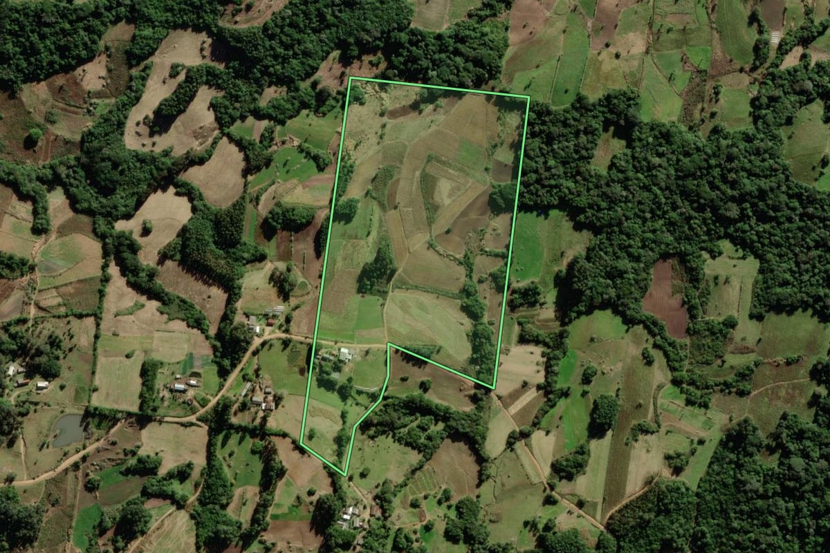 Imagem de satélite do imóvel rural em São Lourenço do Sul (RS), com o contorno declarado no CAR desenhado por cima.