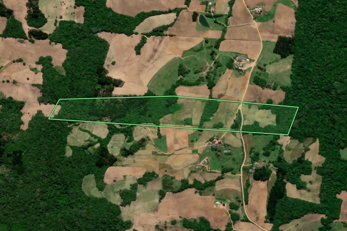 Imagem de satélite do imóvel rural em São Lourenço do Sul (RS), com o contorno declarado no CAR desenhado por cima.