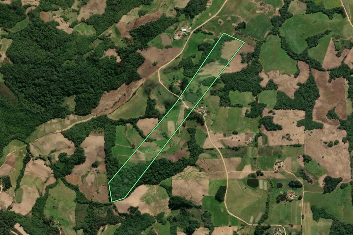 Imagem de satélite do imóvel rural em São Lourenço do Sul (RS), com o contorno declarado no CAR desenhado por cima.