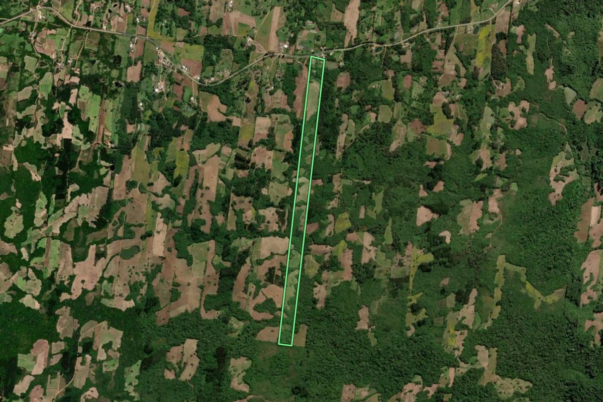 Imagem de satélite do imóvel rural em São Lourenço do Sul (RS), com o contorno declarado no CAR desenhado por cima.