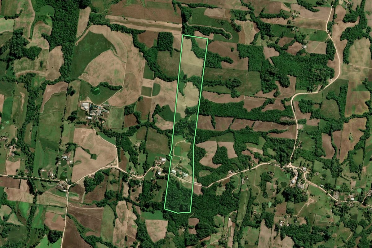 Imagem de satélite do imóvel rural em São Lourenço do Sul (RS), com o contorno declarado no CAR desenhado por cima.