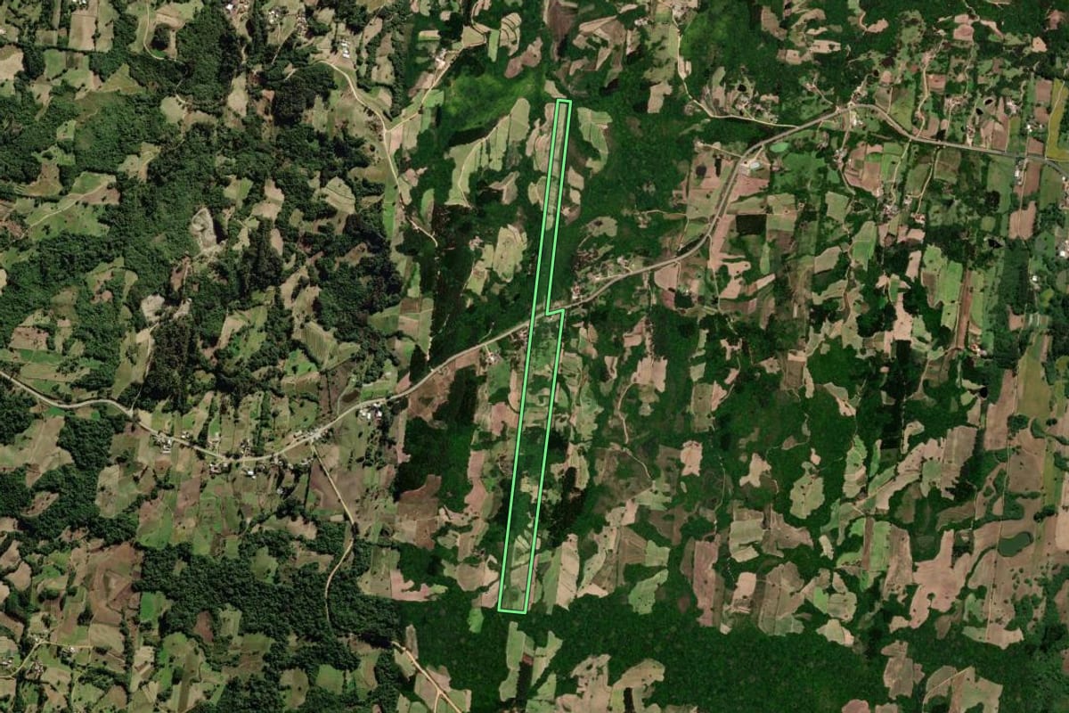 Imagem de satélite do imóvel rural em São Lourenço do Sul (RS), com o contorno declarado no CAR desenhado por cima.