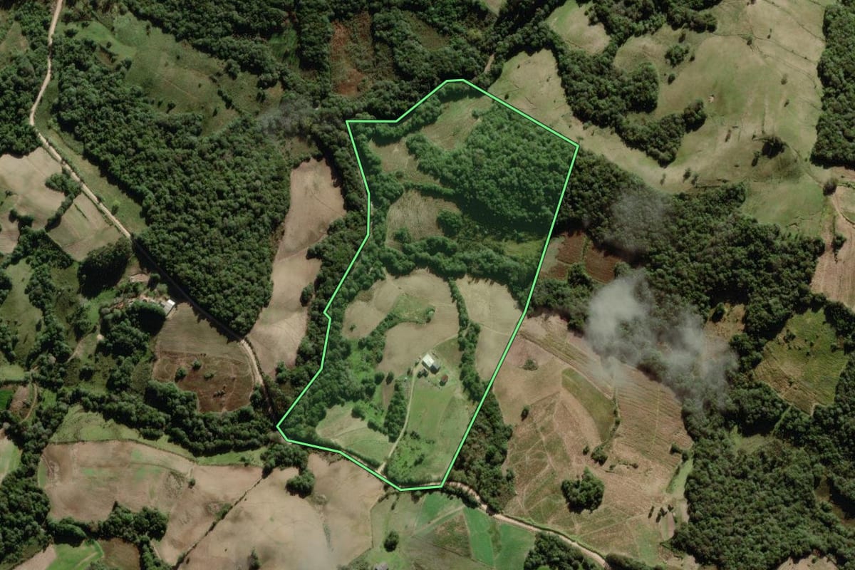 Imagem de satélite do imóvel rural em São Lourenço do Sul (RS), com o contorno declarado no CAR desenhado por cima.