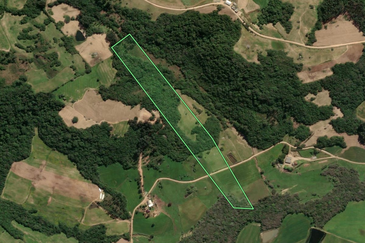 Imagem de satélite do imóvel rural em São Lourenço do Sul (RS), com o contorno declarado no CAR desenhado por cima.