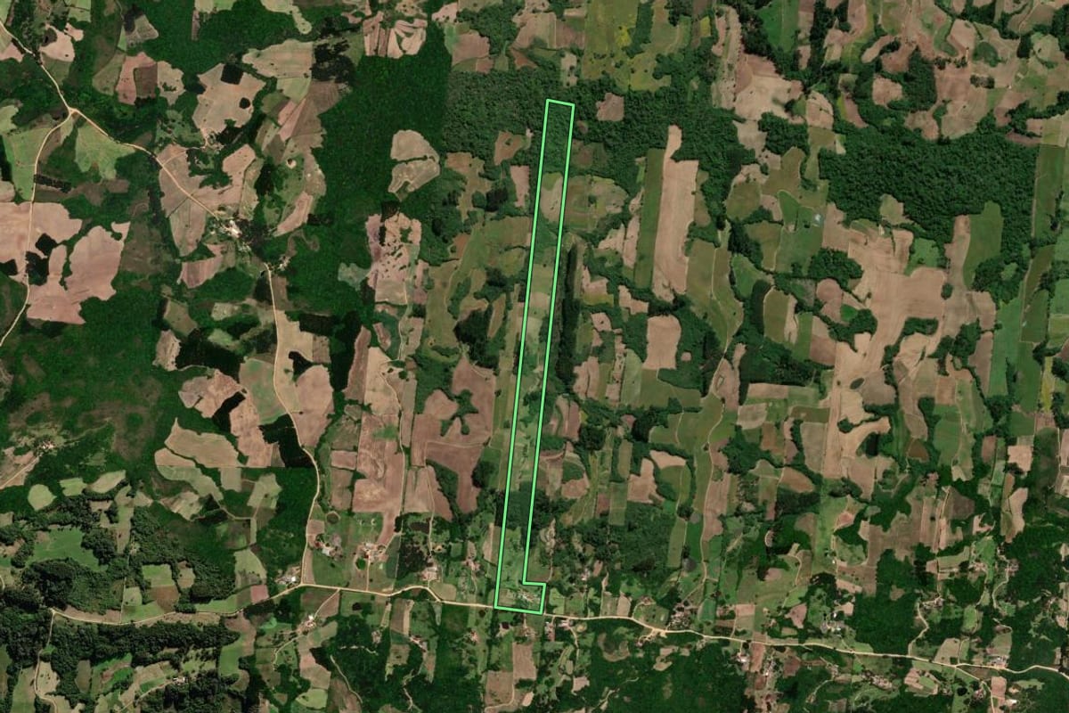 Imagem de satélite do imóvel rural em São Lourenço do Sul (RS), com o contorno declarado no CAR desenhado por cima.
