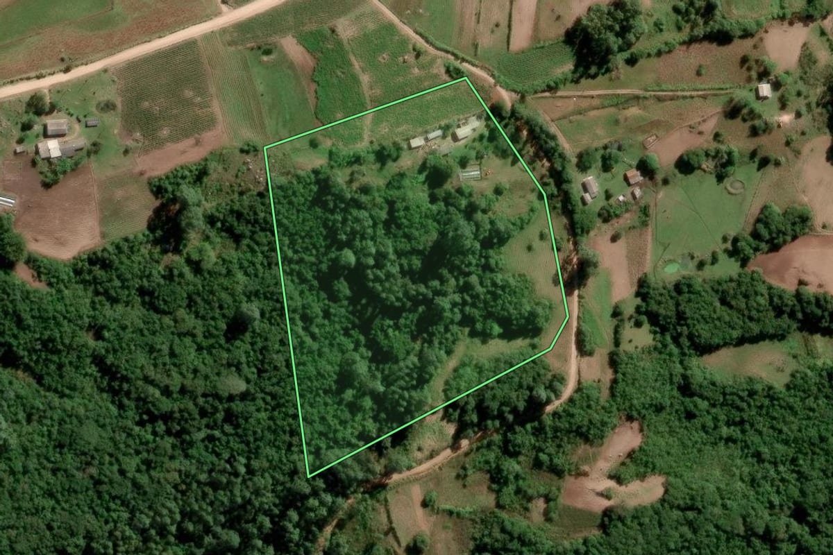 Imagem de satélite do imóvel rural em São Lourenço do Sul (RS), com o contorno declarado no CAR desenhado por cima.