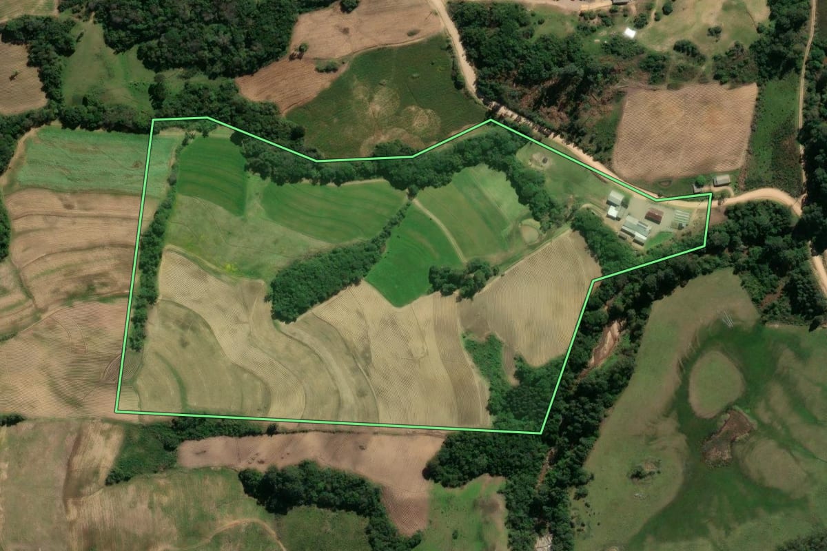 Imagem de satélite do imóvel rural em São Lourenço do Sul (RS), com o contorno declarado no CAR desenhado por cima.