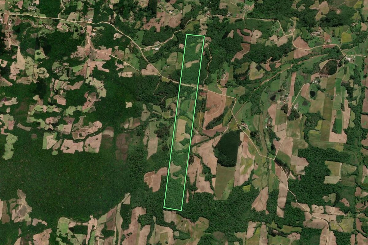 Imagem de satélite do imóvel rural em São Lourenço do Sul (RS), com o contorno declarado no CAR desenhado por cima.