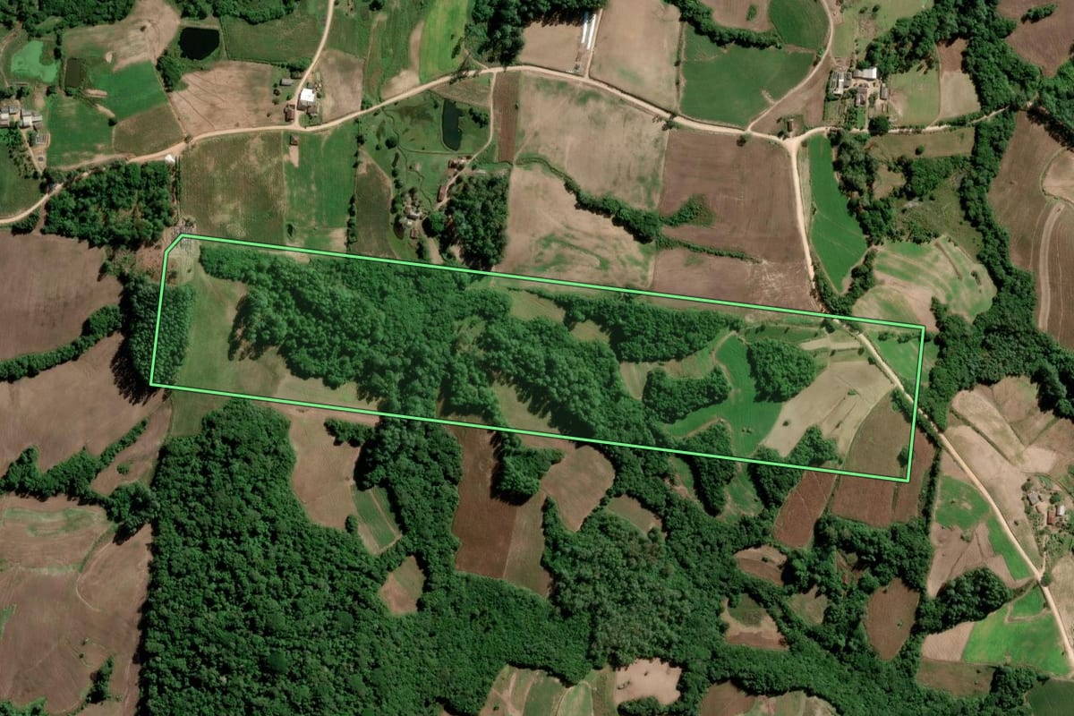 Imagem de satélite do imóvel rural em São Lourenço do Sul (RS), com o contorno declarado no CAR desenhado por cima.