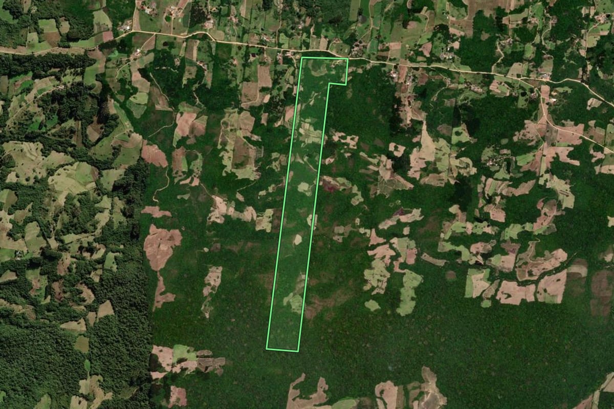 Imagem de satélite do imóvel rural em São Lourenço do Sul (RS), com o contorno declarado no CAR desenhado por cima.