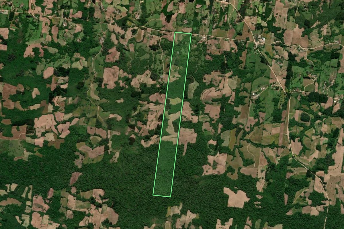 Imagem de satélite do imóvel rural em São Lourenço do Sul (RS), com o contorno declarado no CAR desenhado por cima.