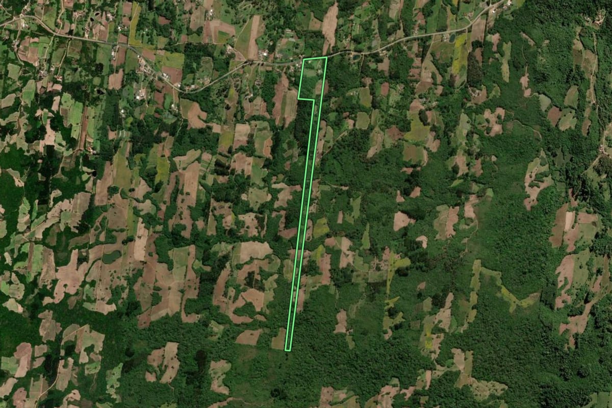 Imagem de satélite do imóvel rural em São Lourenço do Sul (RS), com o contorno declarado no CAR desenhado por cima.