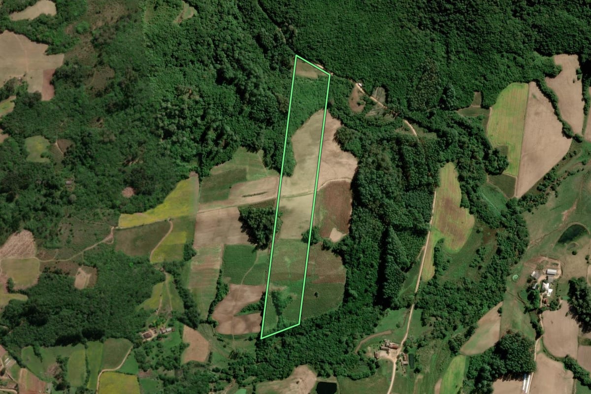 Imagem de satélite do imóvel rural em São Lourenço do Sul (RS), com o contorno declarado no CAR desenhado por cima.