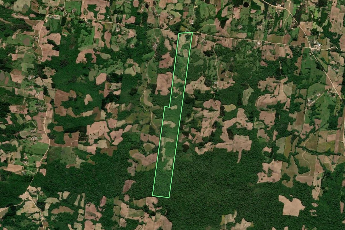 Imagem de satélite do imóvel rural em São Lourenço do Sul (RS), com o contorno declarado no CAR desenhado por cima.