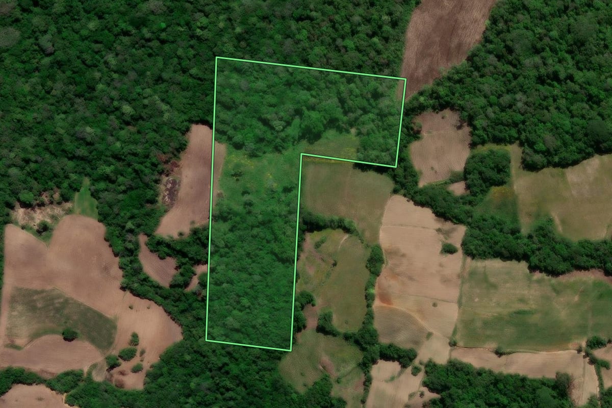 Imagem de satélite do imóvel rural em São Lourenço do Sul (RS), com o contorno declarado no CAR desenhado por cima.