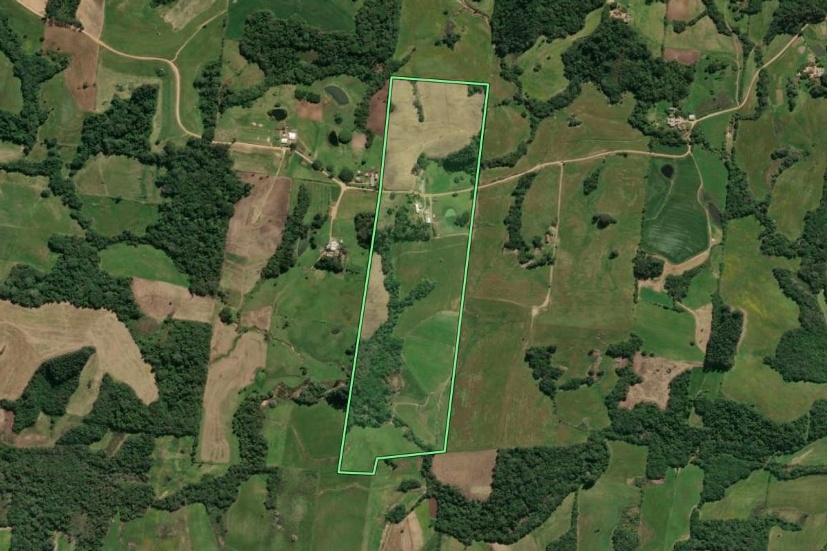 Imagem de satélite do imóvel rural em São Lourenço do Sul (RS), com o contorno declarado no CAR desenhado por cima.
