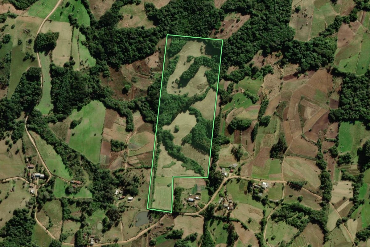 Imagem de satélite do imóvel rural em São Lourenço do Sul (RS), com o contorno declarado no CAR desenhado por cima.