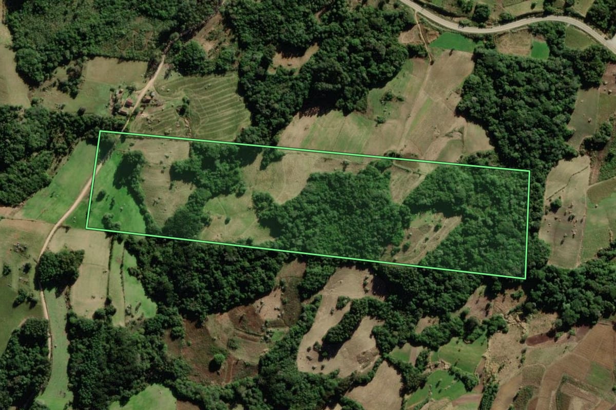 Imagem de satélite do imóvel rural em São Lourenço do Sul (RS), com o contorno declarado no CAR desenhado por cima.
