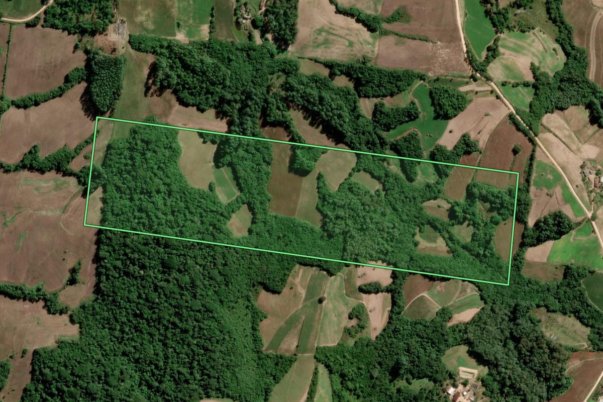 Imagem de satélite do imóvel rural em São Lourenço do Sul (RS), com o contorno declarado no CAR desenhado por cima.