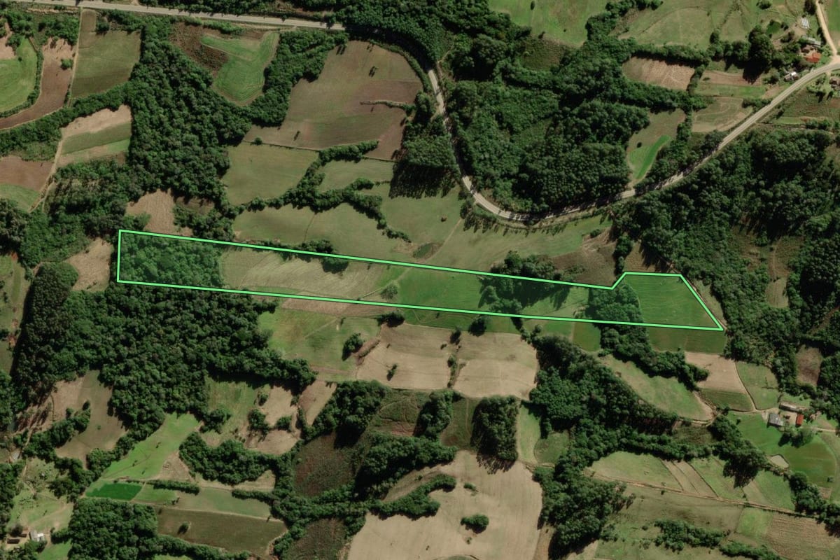 Imagem de satélite do imóvel rural em São Lourenço do Sul (RS), com o contorno declarado no CAR desenhado por cima.