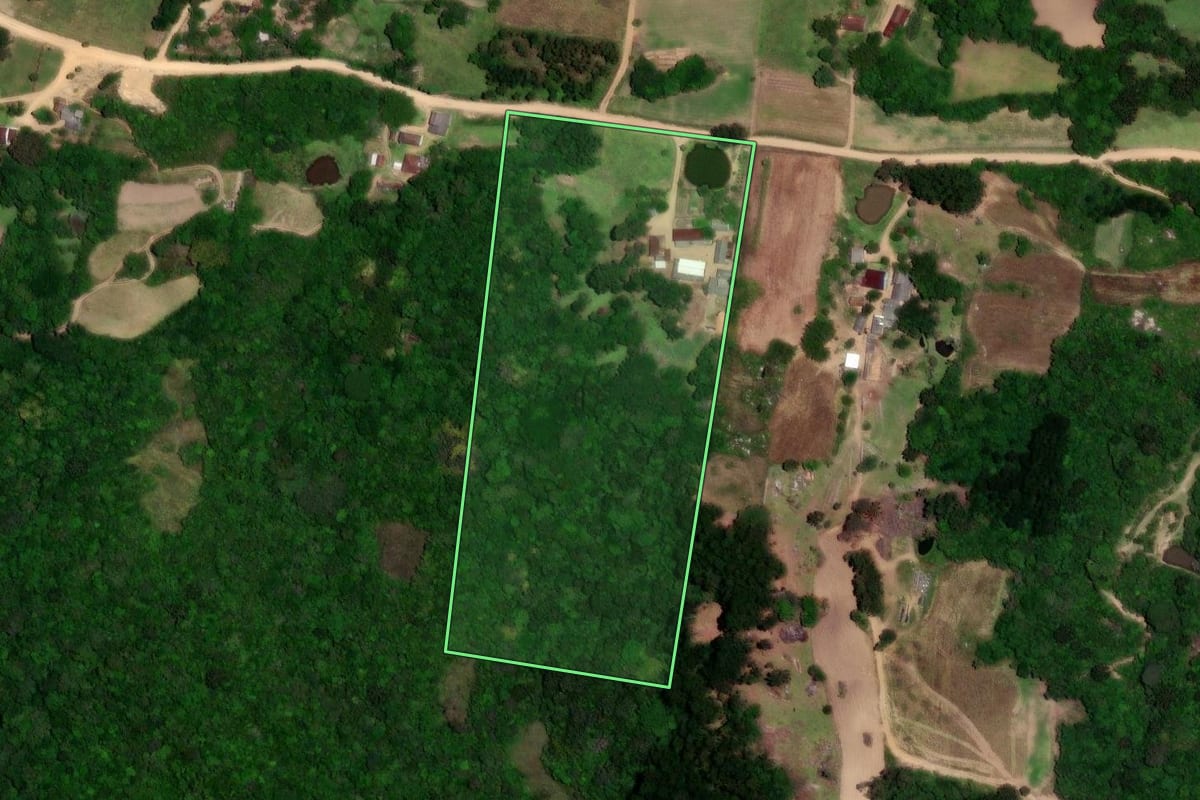 Imagem de satélite do imóvel rural em São Lourenço do Sul (RS), com o contorno declarado no CAR desenhado por cima.
