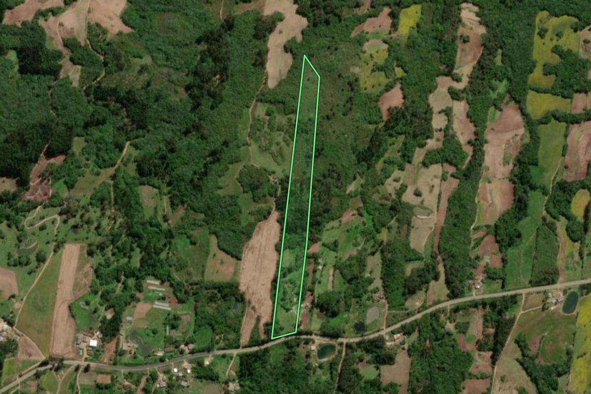 Imagem de satélite do imóvel rural em São Lourenço do Sul (RS), com o contorno declarado no CAR desenhado por cima.