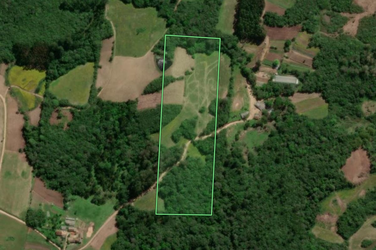 Imagem de satélite do imóvel rural em São Lourenço do Sul (RS), com o contorno declarado no CAR desenhado por cima.