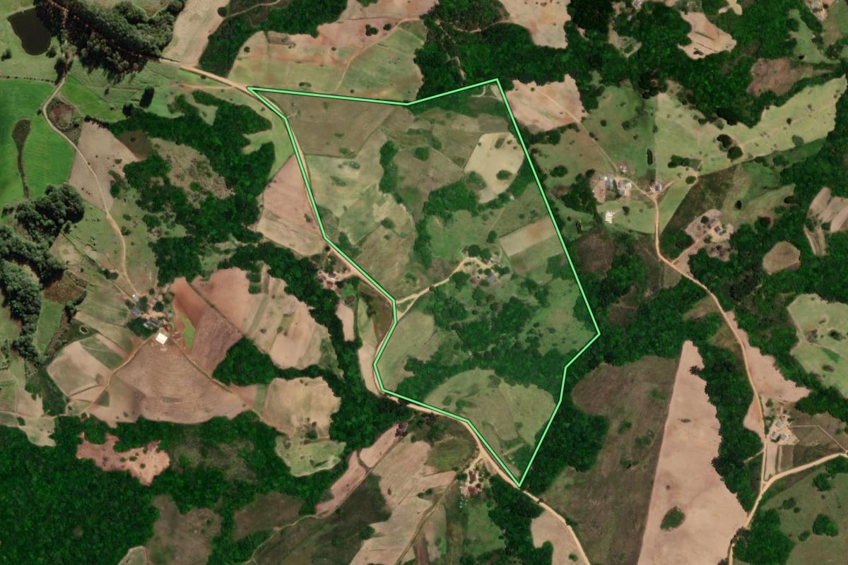 Imagem de satélite do imóvel rural em São Lourenço do Sul (RS), com o contorno declarado no CAR desenhado por cima.