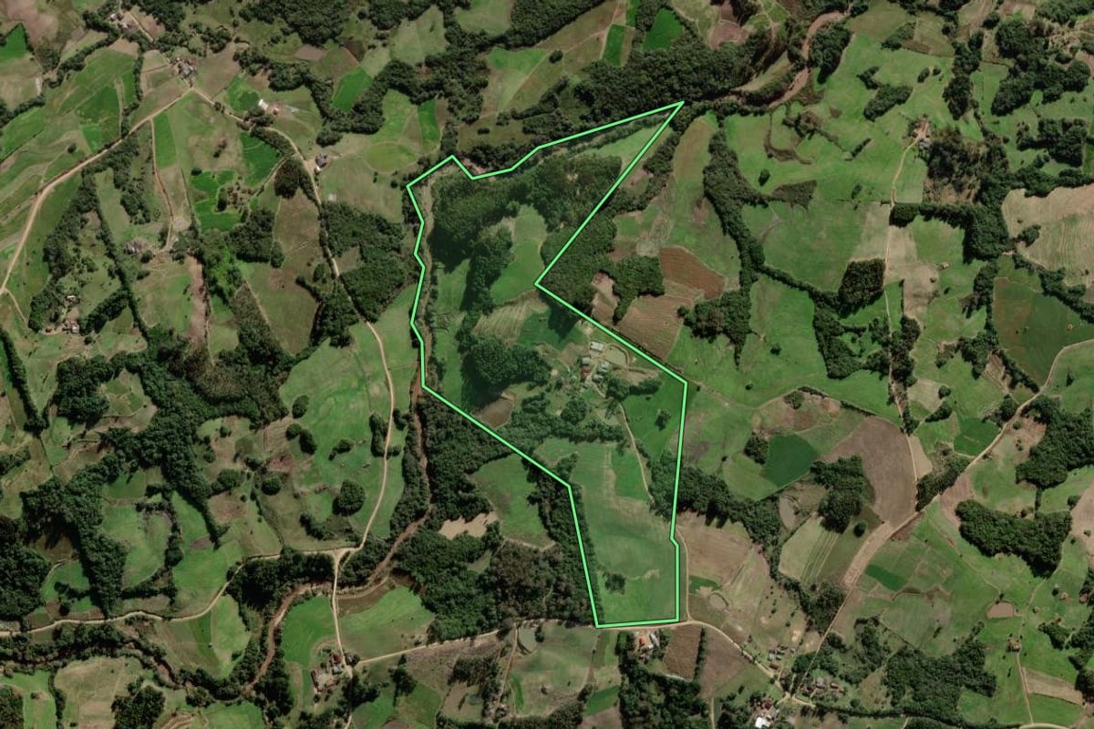 Imagem de satélite do imóvel rural em São Lourenço do Sul (RS), com o contorno declarado no CAR desenhado por cima.