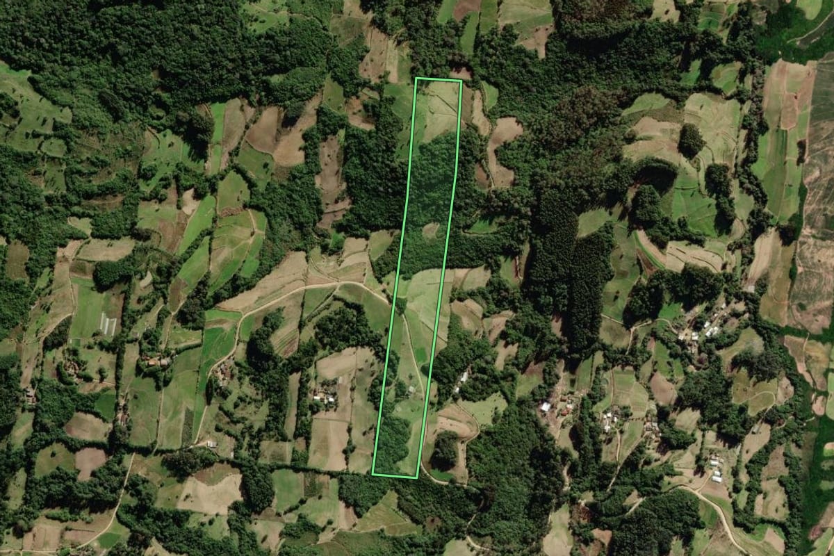 Imagem de satélite do imóvel rural em São Lourenço do Sul (RS), com o contorno declarado no CAR desenhado por cima.