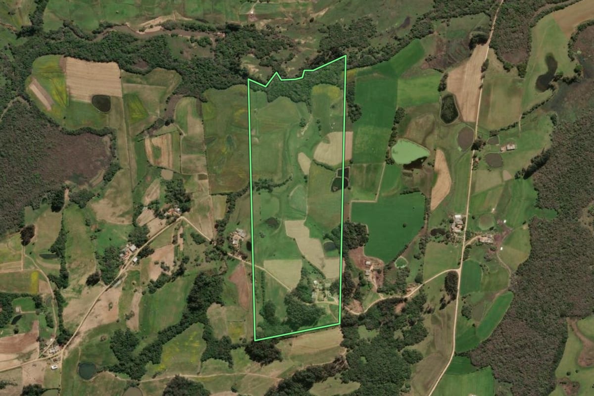 Imagem de satélite do imóvel rural em São Lourenço do Sul (RS), com o contorno declarado no CAR desenhado por cima.