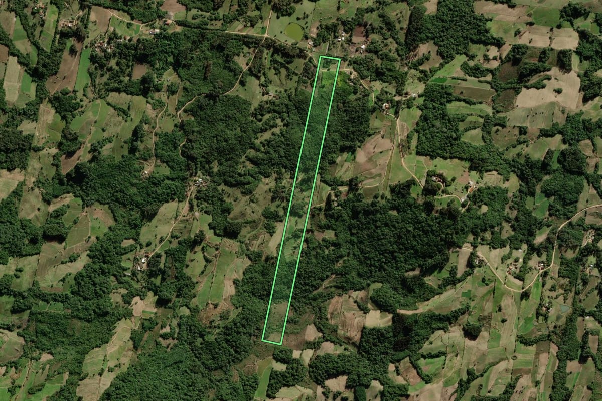 Imagem de satélite do imóvel rural em São Lourenço do Sul (RS), com o contorno declarado no CAR desenhado por cima.