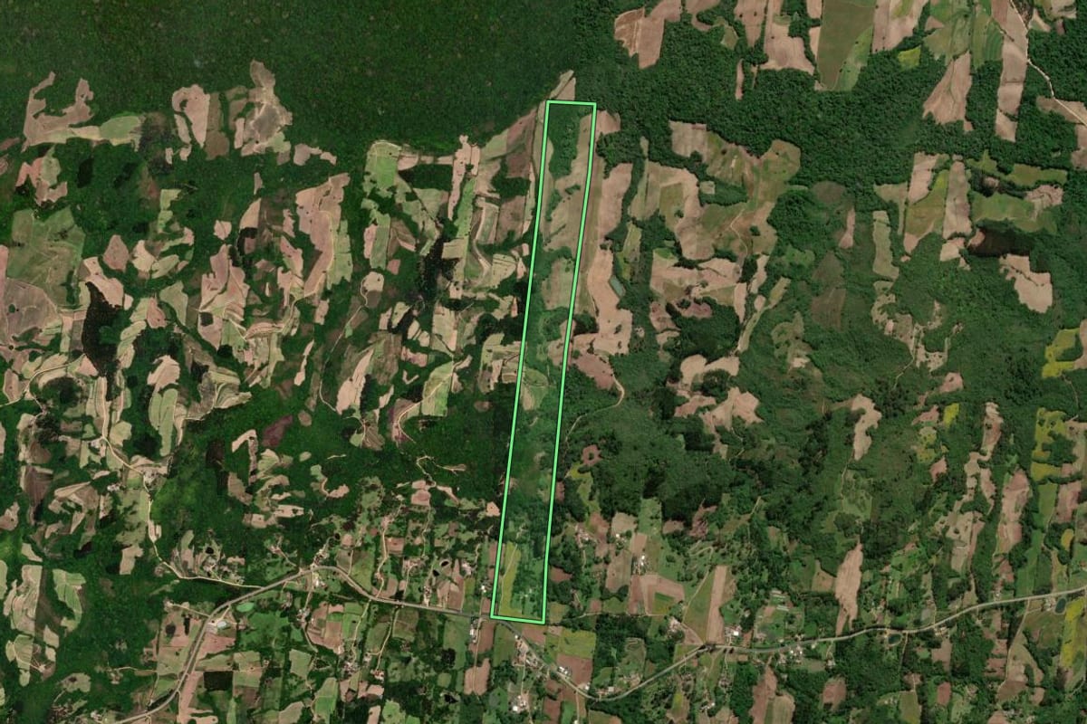 Imagem de satélite do imóvel rural em São Lourenço do Sul (RS), com o contorno declarado no CAR desenhado por cima.
