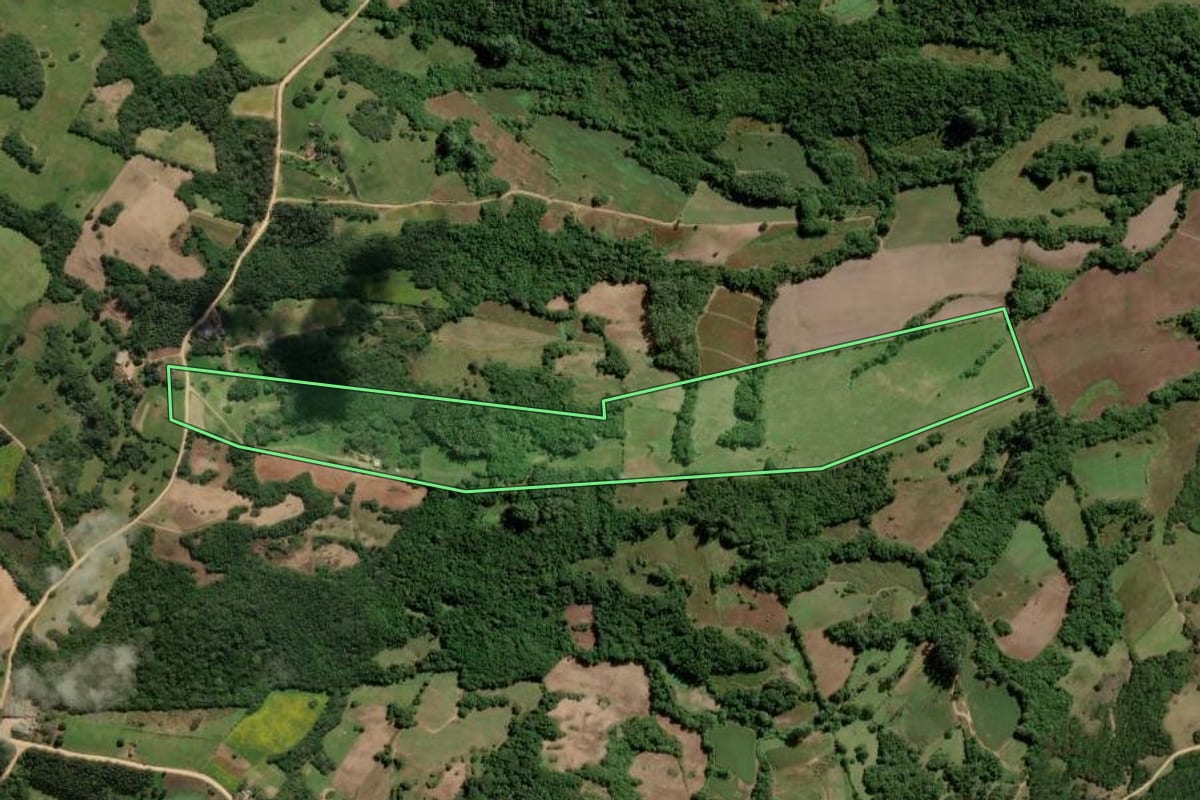 Imagem de satélite do imóvel rural em São Lourenço do Sul (RS), com o contorno declarado no CAR desenhado por cima.